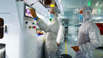 Elite Tree Technology