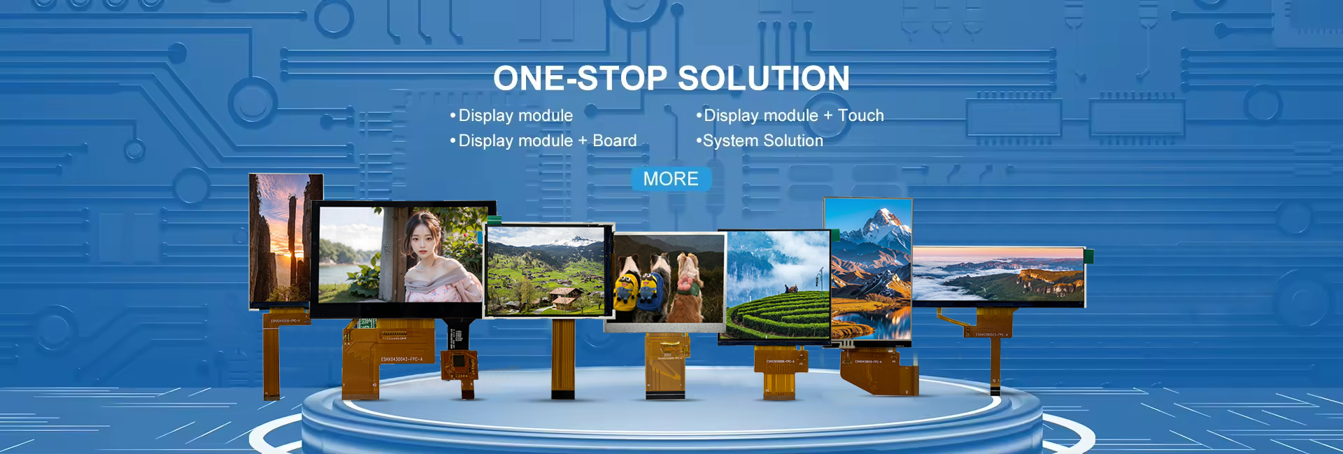 गुणवत्ता टीएफटी एलसीडी डिस्प्ले मॉड्यूल कारखाना